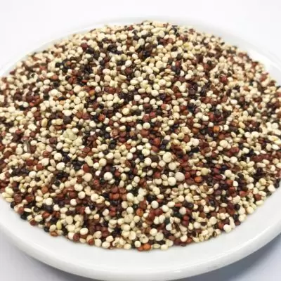 Imagem meramente ilustrativa