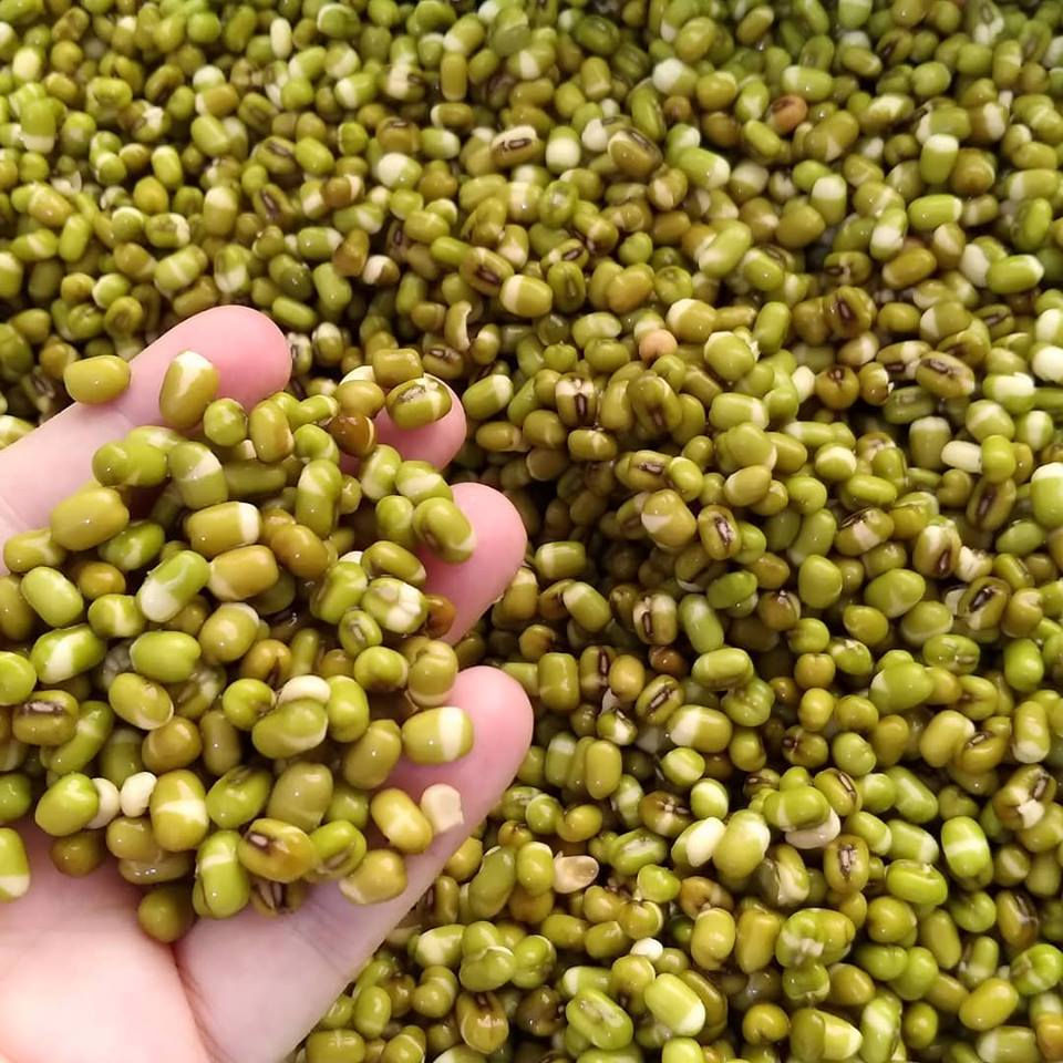 Feijão Moyashi à Granel - 100gr